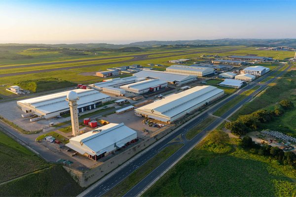 Gruppo del ramo dell'albero Co., Ltd